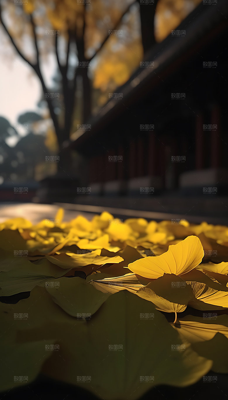 立秋植物风景摄影图