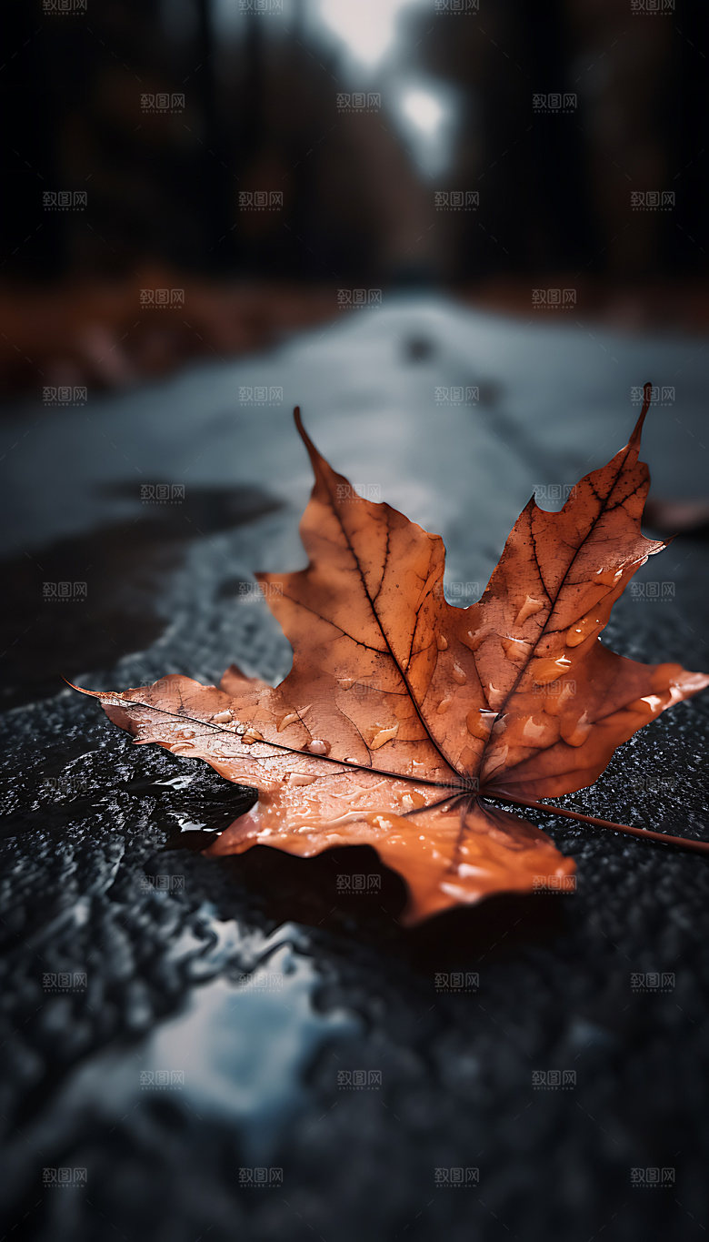 立秋秋色风景摄影图