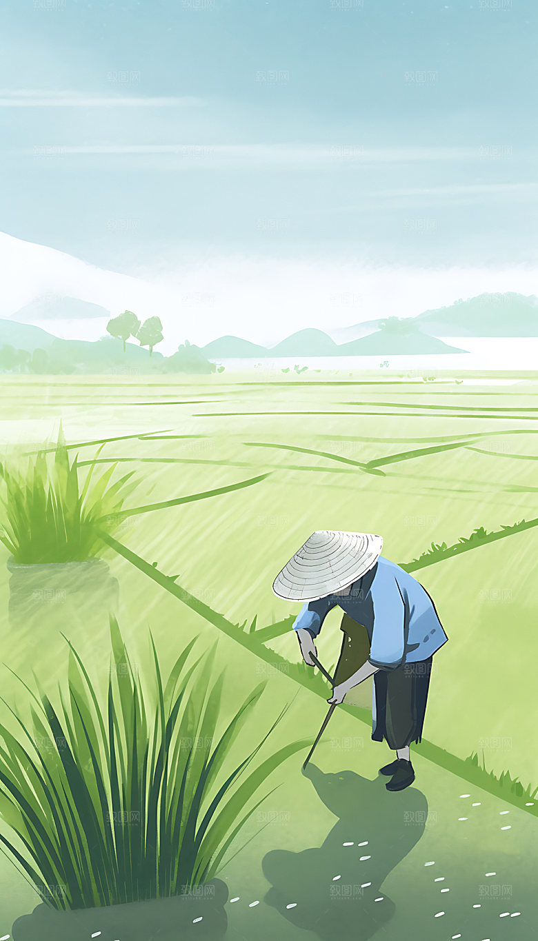芒种夏季夏日插画