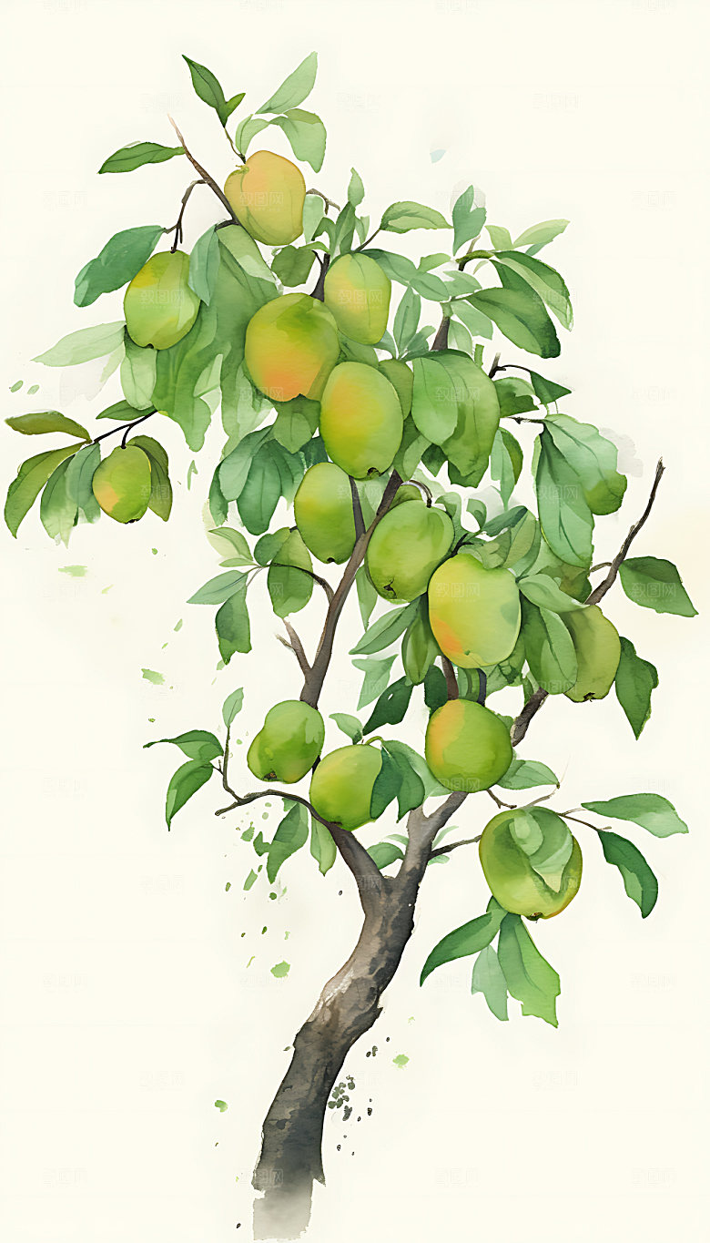 芒种乡村田野插画
