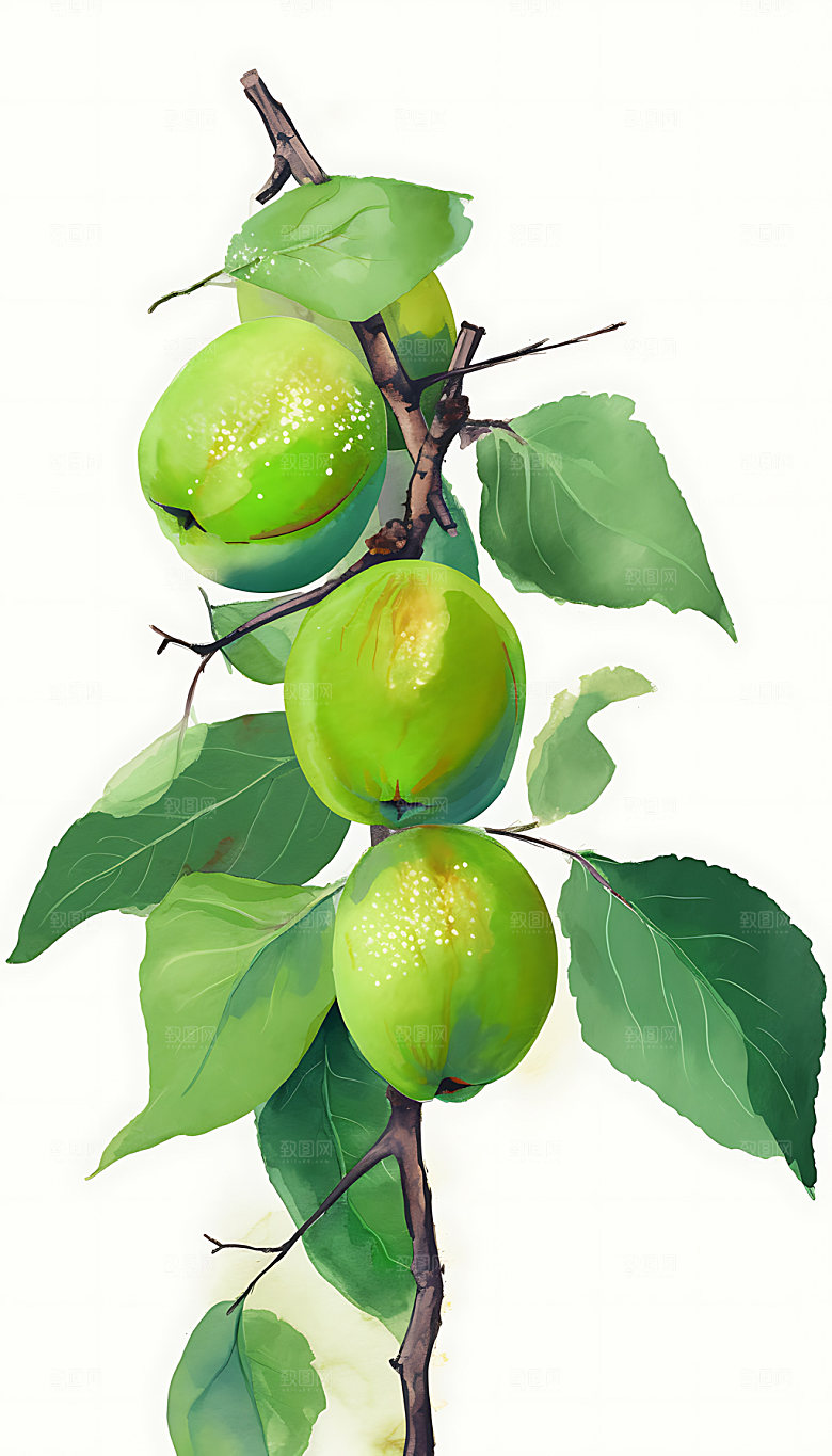 芒种夏季田野插画
