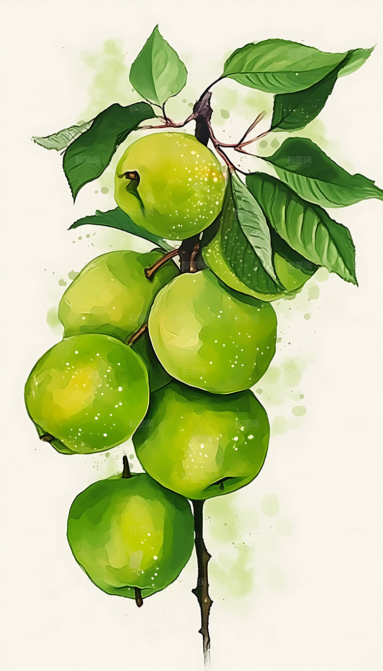 芒种夏日田野插画