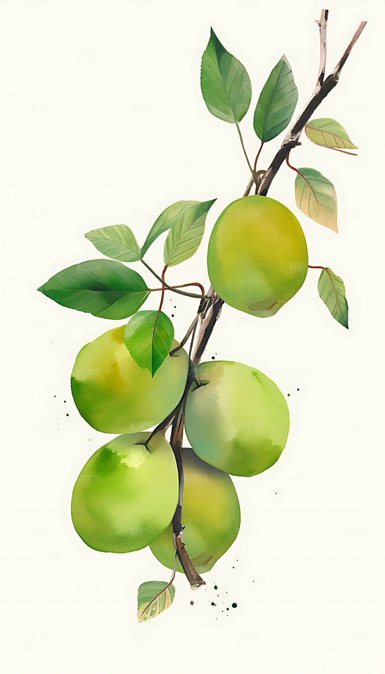芒种乡村夏日插画