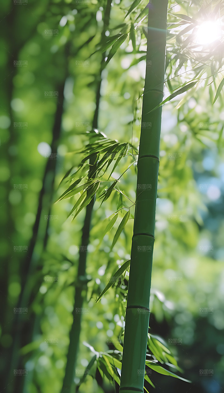小暑夏日节气摄影图
