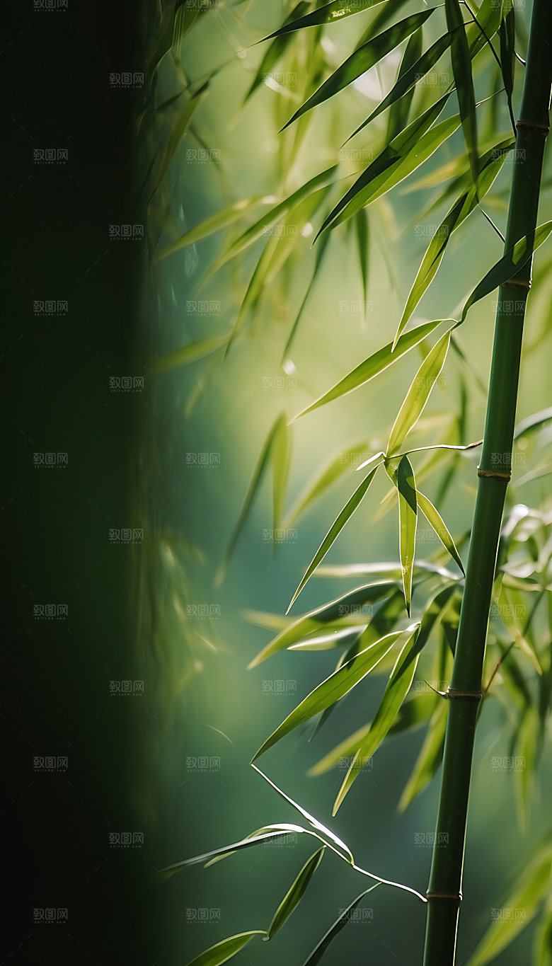 小暑自然夏日摄影图