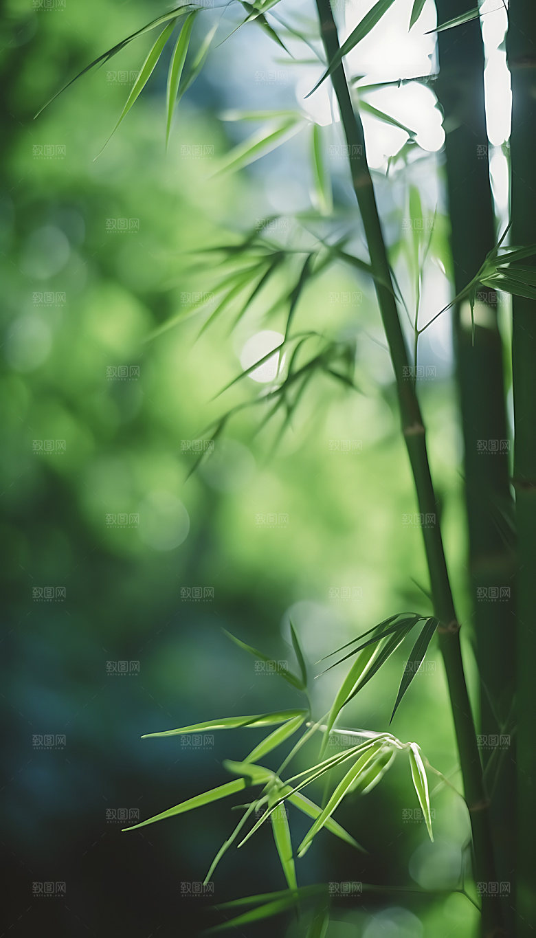 小暑夏日夏季摄影图