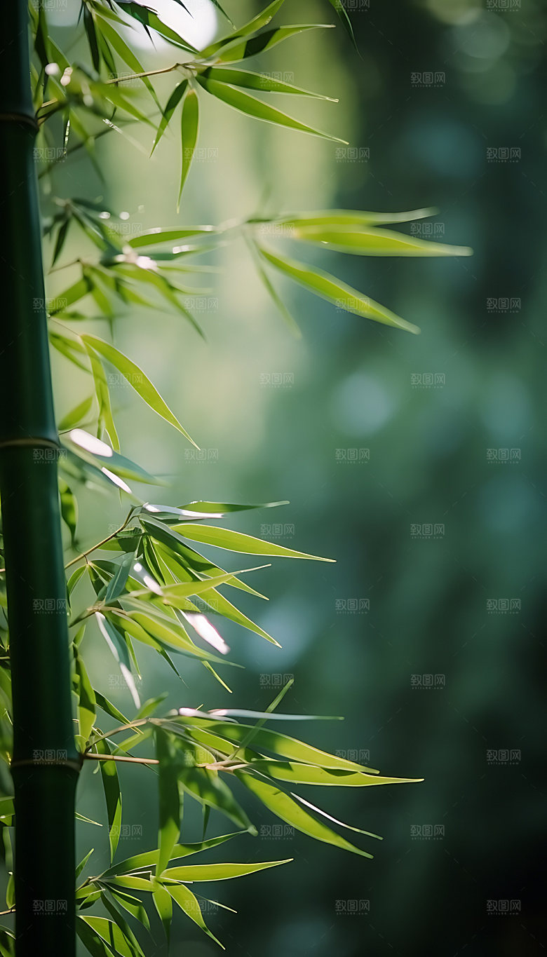 小暑自然炎热摄影图