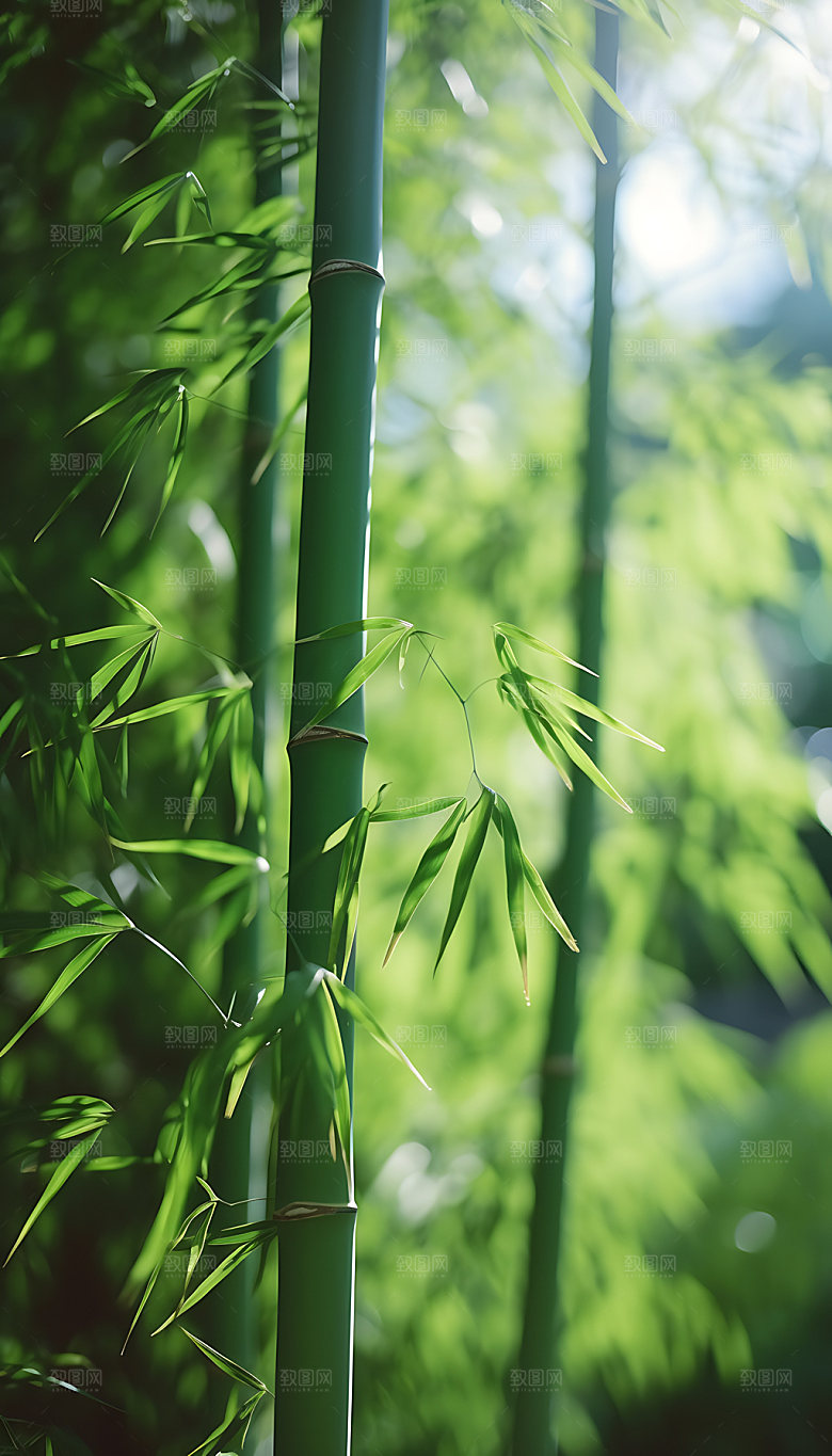 小暑节气夏日摄影图