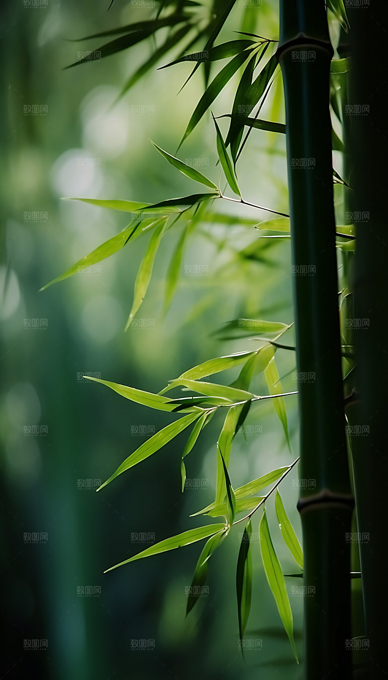 小暑清新节气摄影图