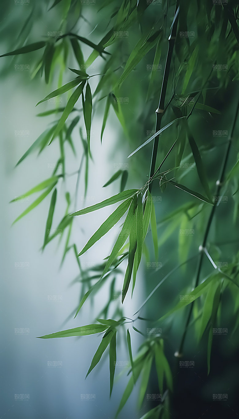 小暑夏季节气摄影图