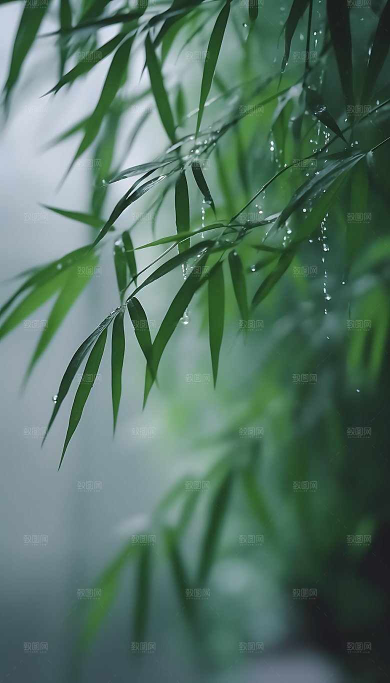 小暑清新夏季摄影图