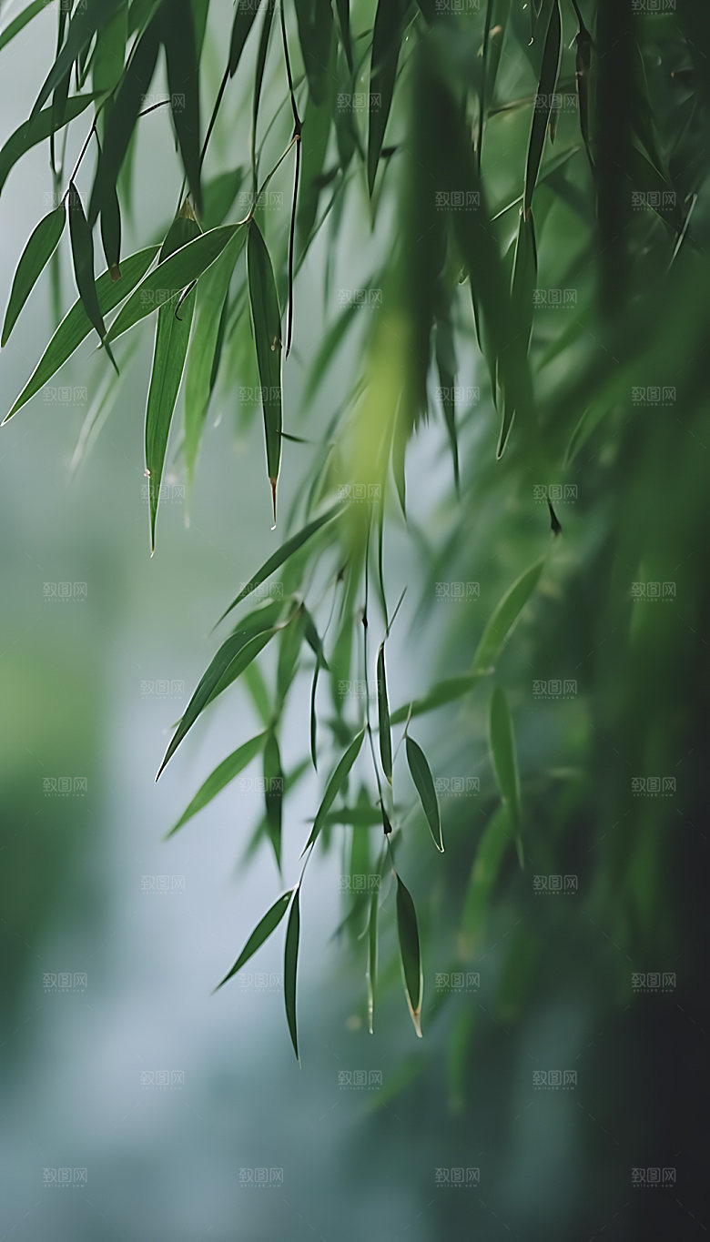 小暑自然节气摄影图