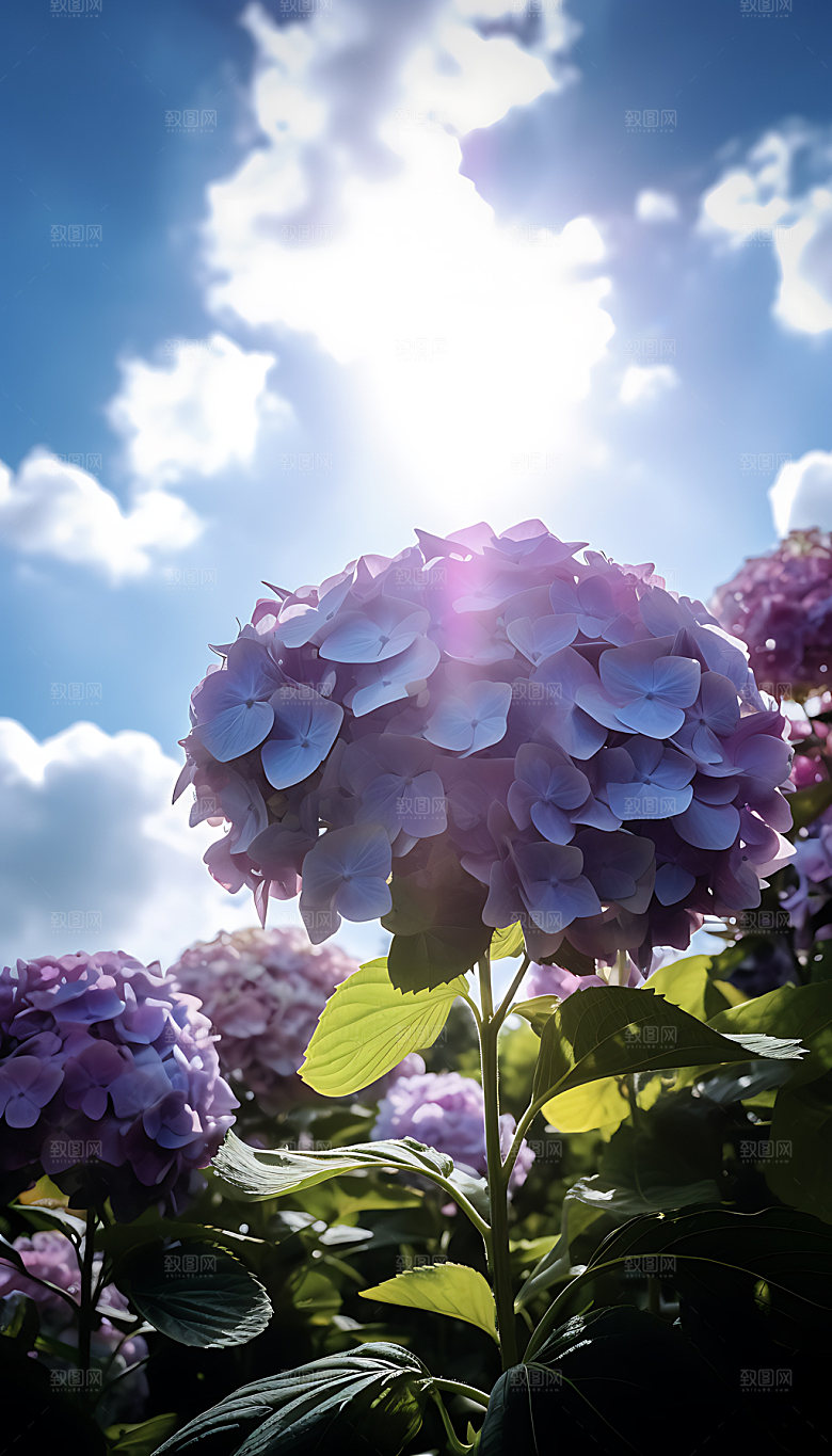 夏至节气夏季摄影图
