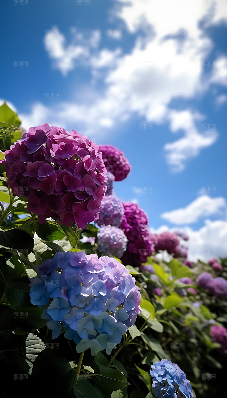 夏至炎热夏日摄影图