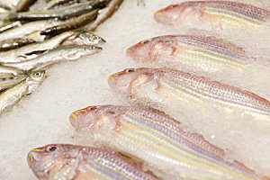 海鲜鱼类精品摄影图