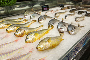 海鲜精品鱼类摄影图