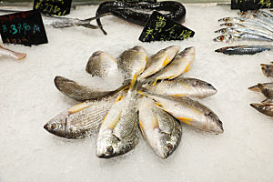 海鲜鱼类生鲜摄影图