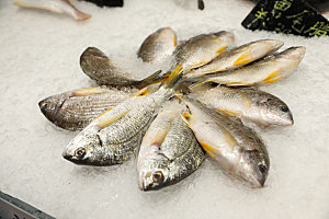 海鲜鱼类美食摄影图