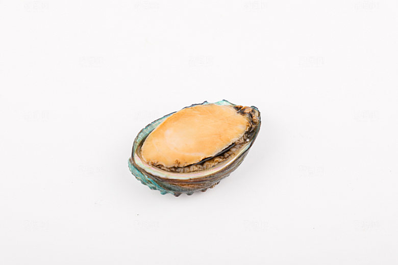海鲜鱼类美食摄影图