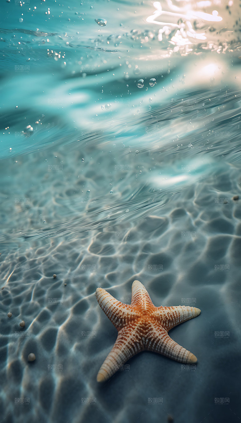 海边旅游阳光摄影图
