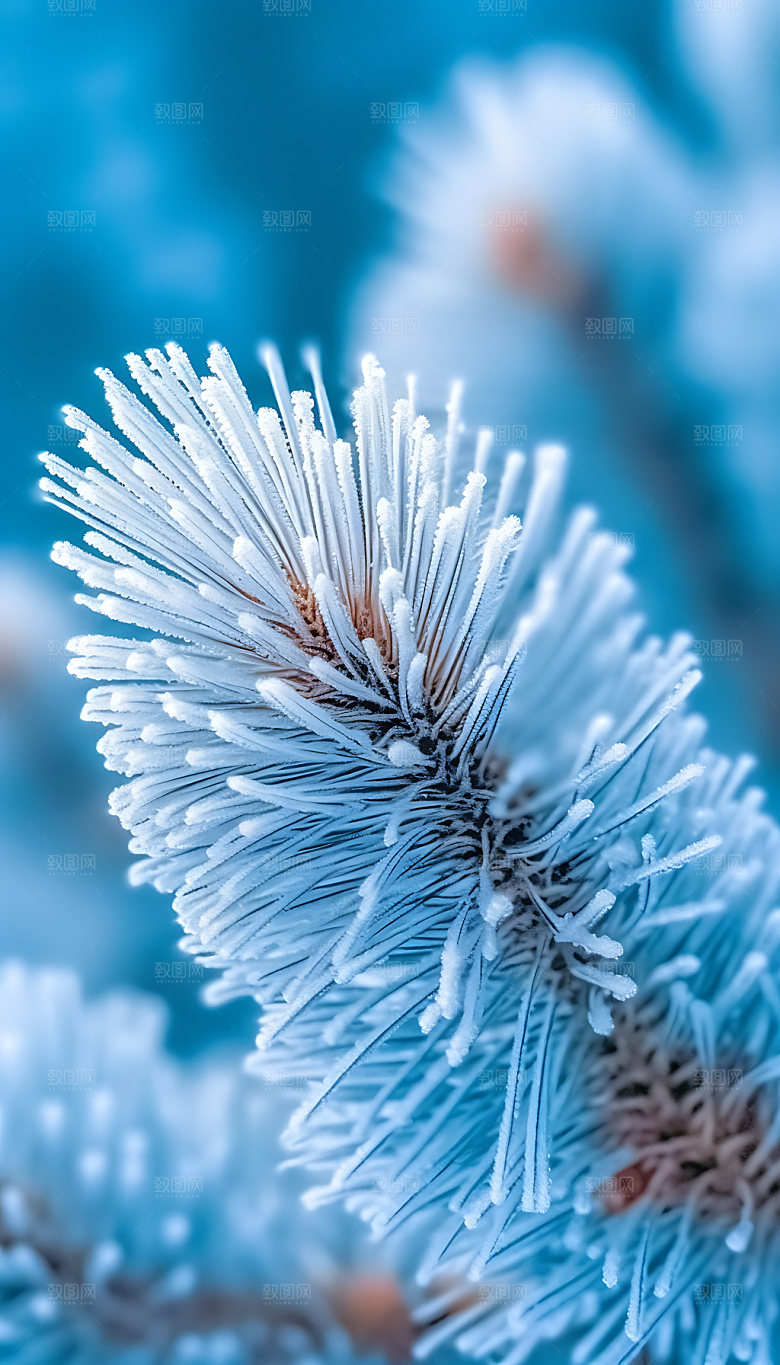 霜降二十四节气冰雪摄影图
