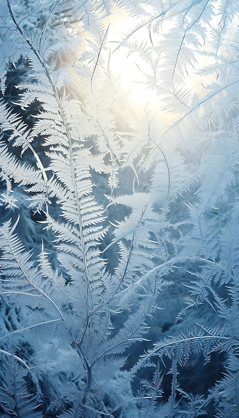 霜降冰雪二十四节气摄影图