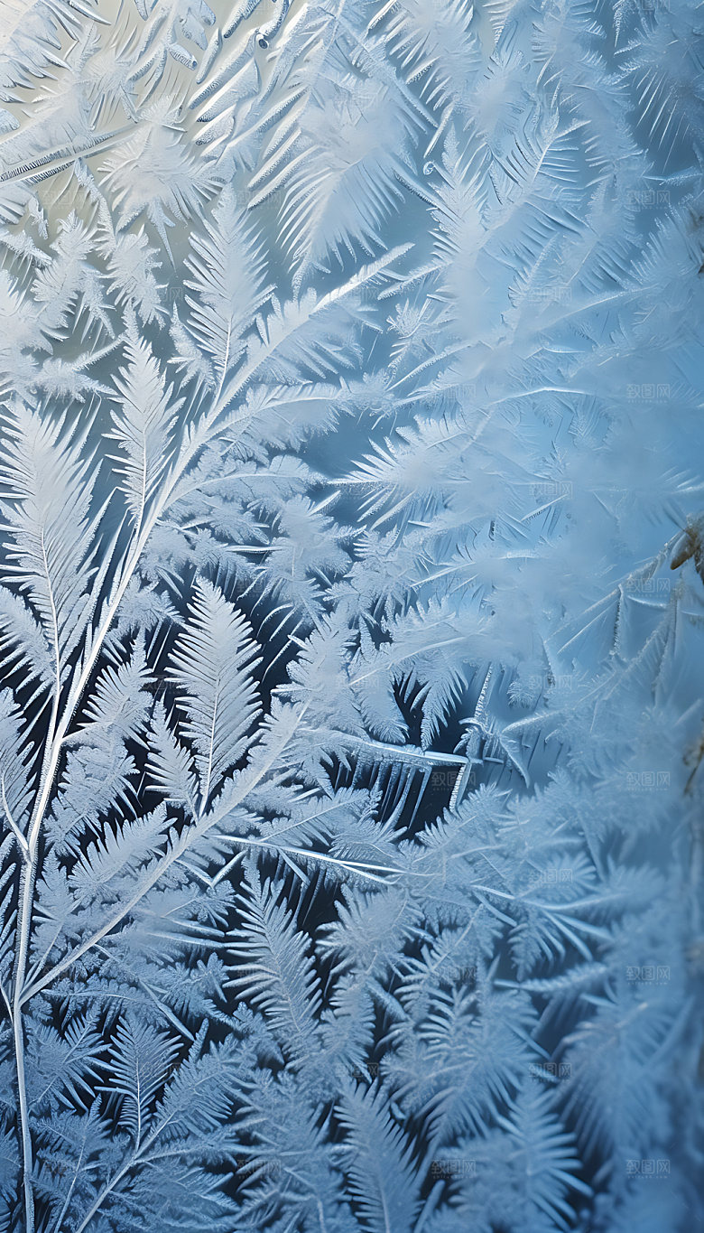 霜降冰雪高清摄影图