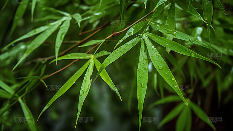 清明高清风光摄影图