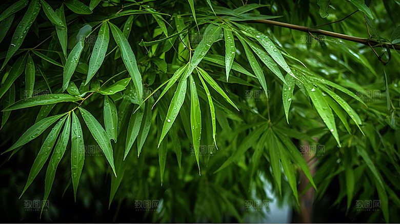 清明自然高清摄影图