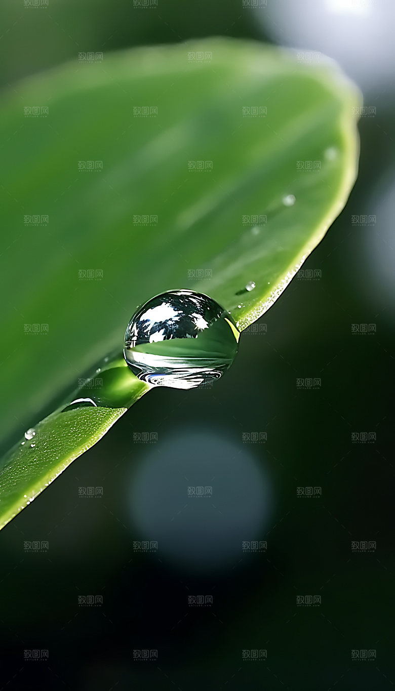 谷雨耕种自然摄影图