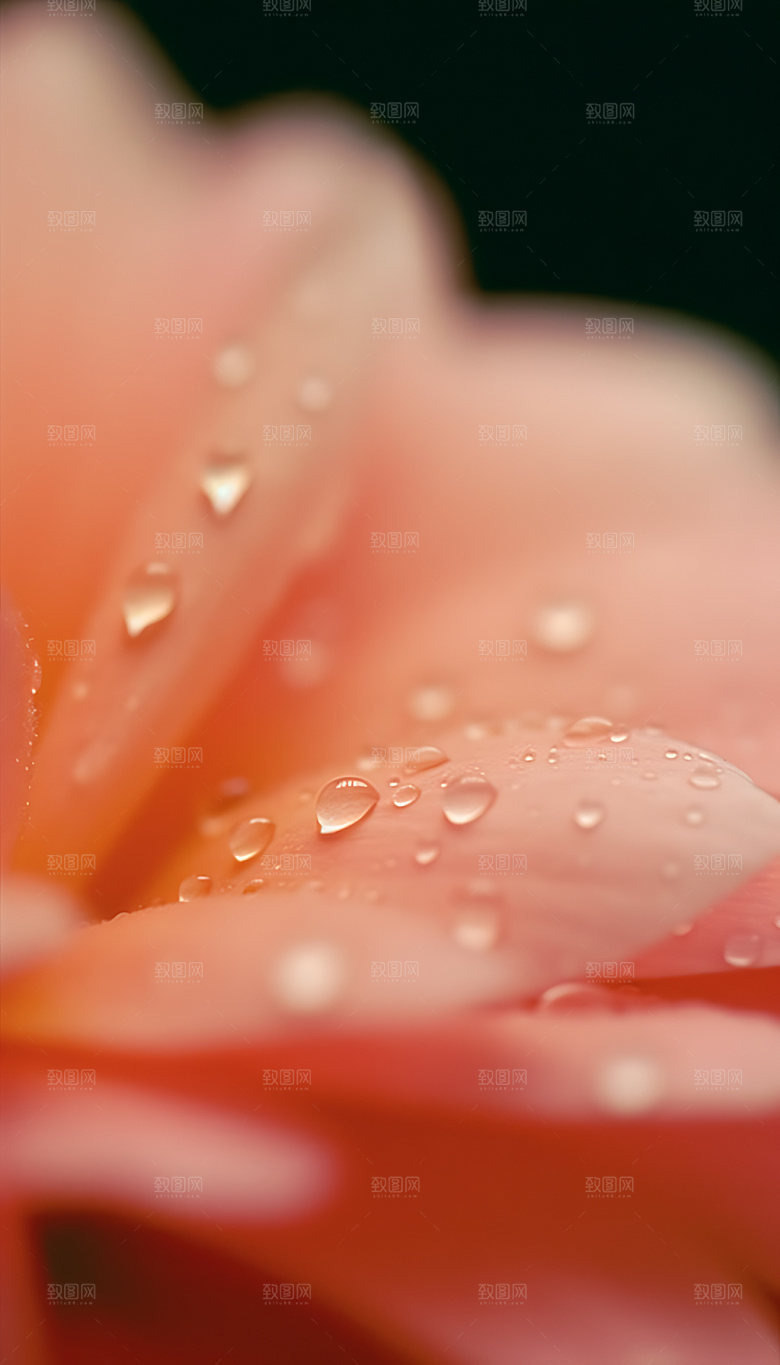 谷雨二十四节气耕种摄影图