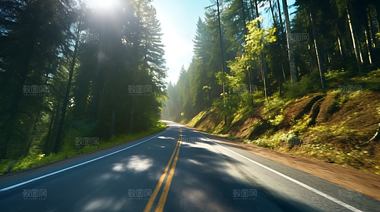 林荫大道公园道路自然环境摄影图
