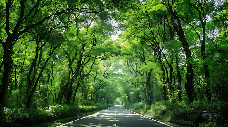 林荫大道自然环境公园道路摄影图