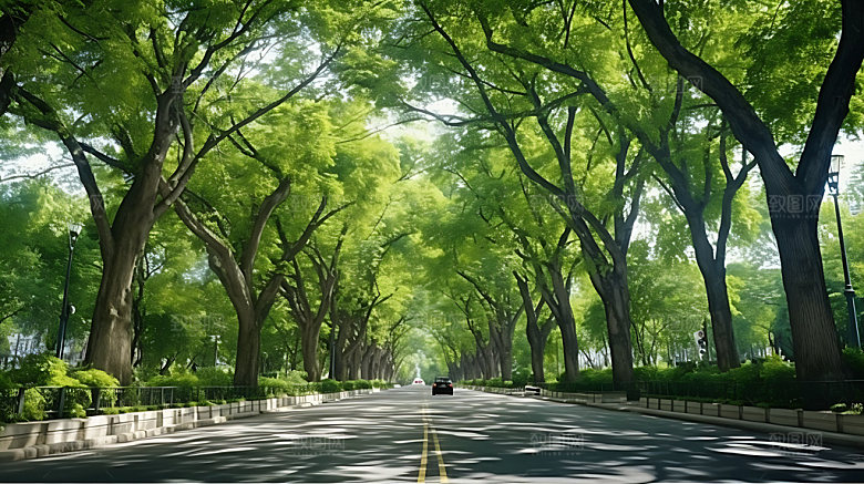 林荫大道风光公园道路摄影图