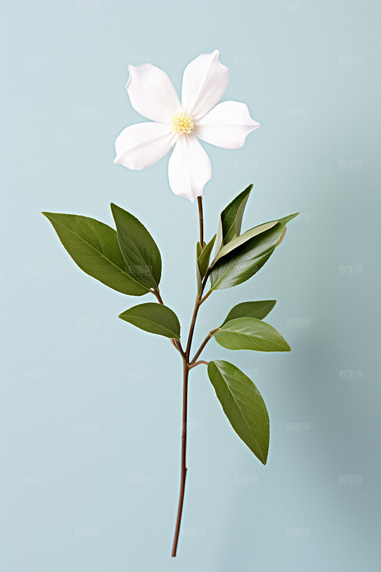 秋季花卉立体秋日模型