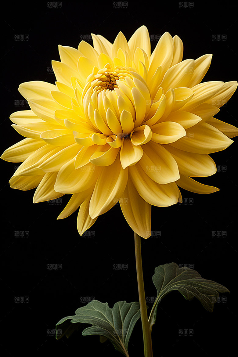秋季花卉3D自然模型