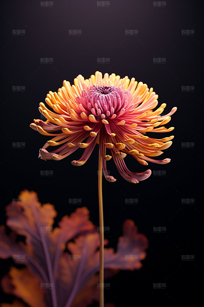 秋季花卉花朵秋日模型