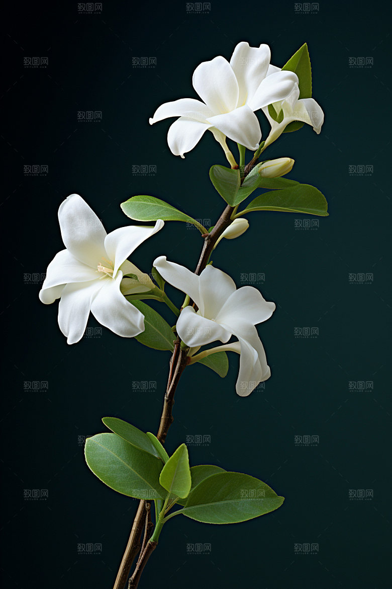 秋季花卉秋日3D模型