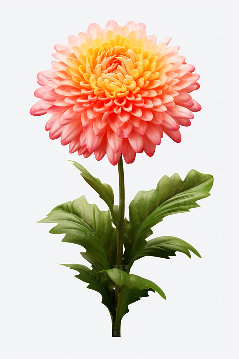 秋季花卉植物花朵模型