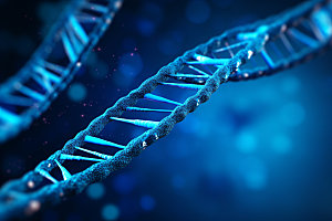 DNA结构立体基因模型