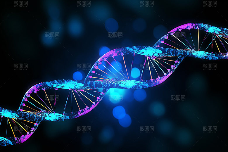 DNA结构研究立体模型