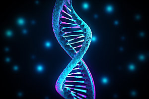 DNA结构生物立体模型