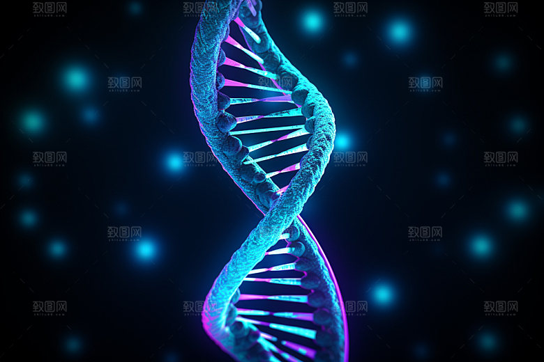 DNA结构生物立体模型