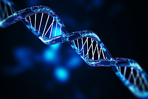 DNA结构立体科学模型