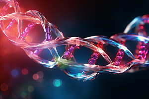 DNA结构基因立体模型