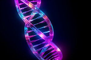 DNA结构3D基因模型