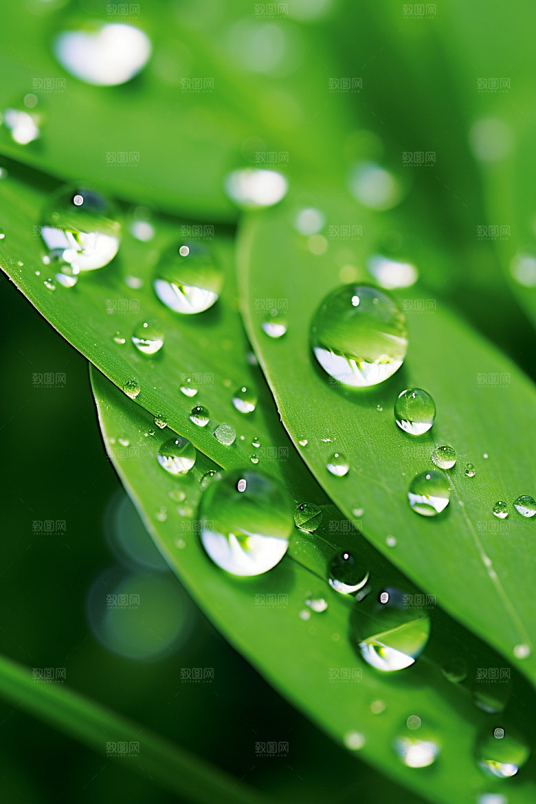 白露节气秋景摄影图