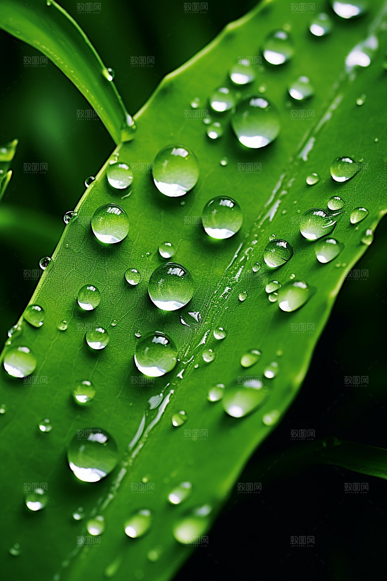 白露秋景节气摄影图