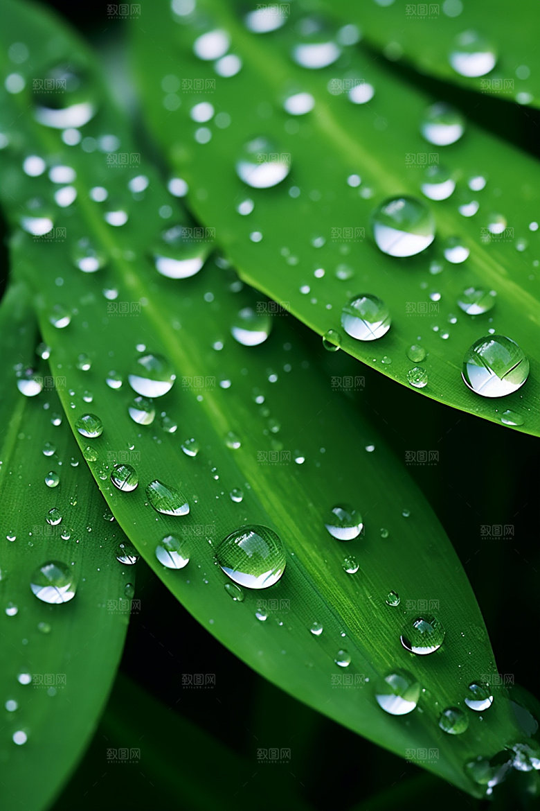 白露自然秋景摄影图