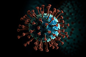 病毒细胞立体模型